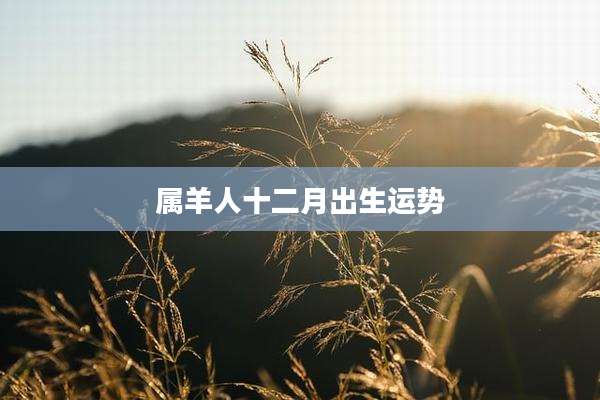 属羊人十二月出生运势