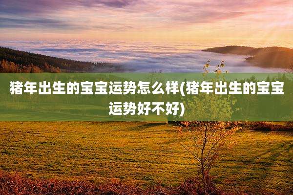 猪年出生的宝宝运势怎么样(猪年出生的宝宝运势好不好)