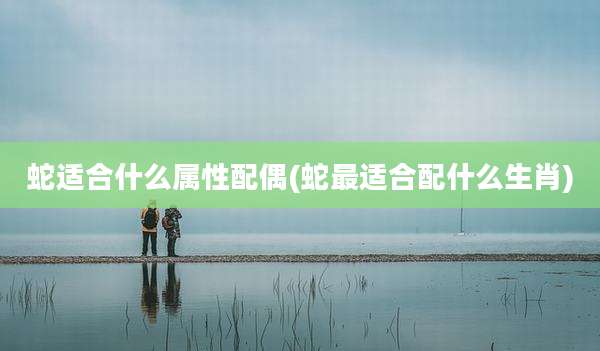 蛇适合什么属性配偶(蛇最适合配什么生肖)