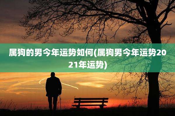 属狗的男今年运势如何(属狗男今年运势2021年运势)