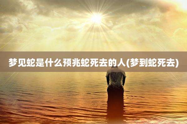 梦见蛇是什么预兆蛇死去的人(梦到蛇死去)