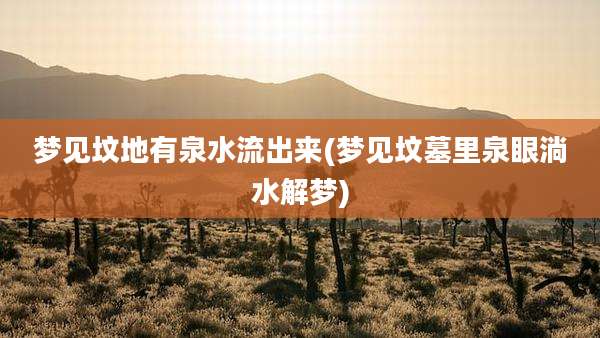 梦见坟地有泉水流出来(梦见坟墓里泉眼淌水解梦)