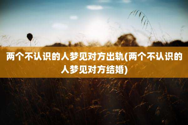 两个不认识的人梦见对方出轨(两个不认识的人梦见对方结婚)