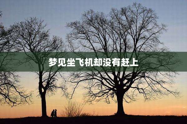 梦见坐飞机却没有赶上