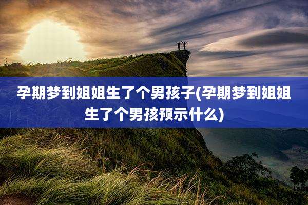 孕期梦到姐姐生了个男孩子(孕期梦到姐姐生了个男孩预示什么)