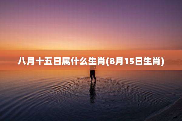八月十五日属什么生肖(8月15日生肖)
