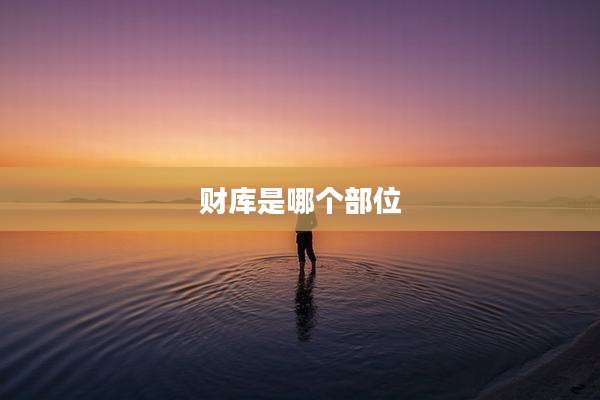 财库是哪个部位