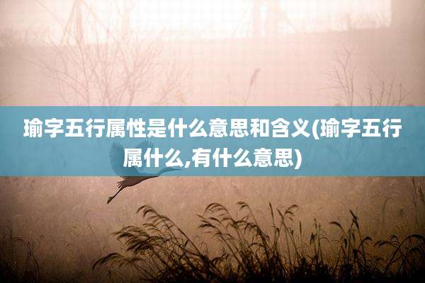 瑜字五行属性是什么意思和含义(瑜字五行属什么,有什么意思)