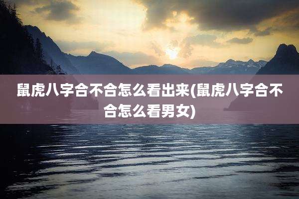 鼠虎八字合不合怎么看出来(鼠虎八字合不合怎么看男女)
