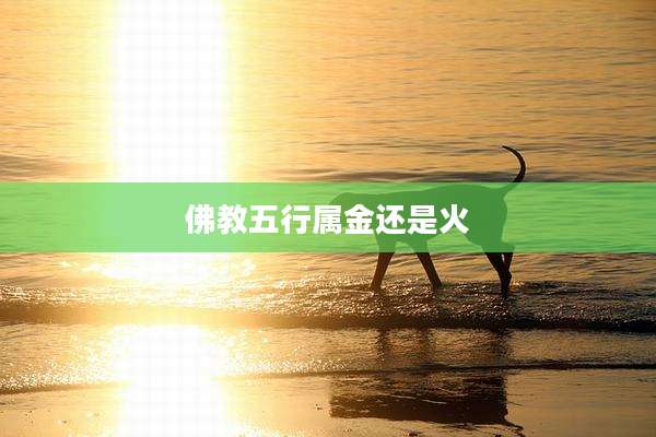 佛教五行属金还是火