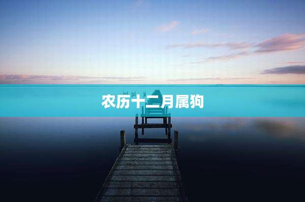 农历十二月属狗