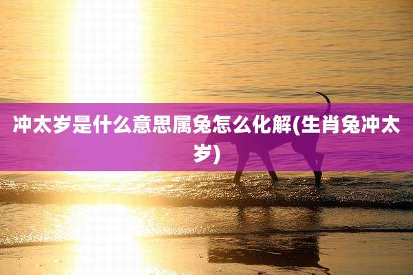 冲太岁是什么意思属兔怎么化解(生肖兔冲太岁)