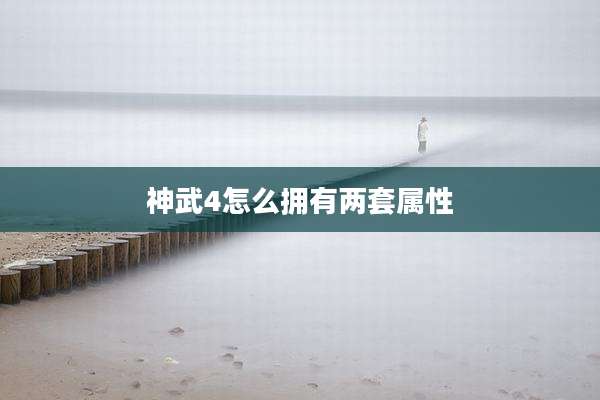 神武4怎么拥有两套属性