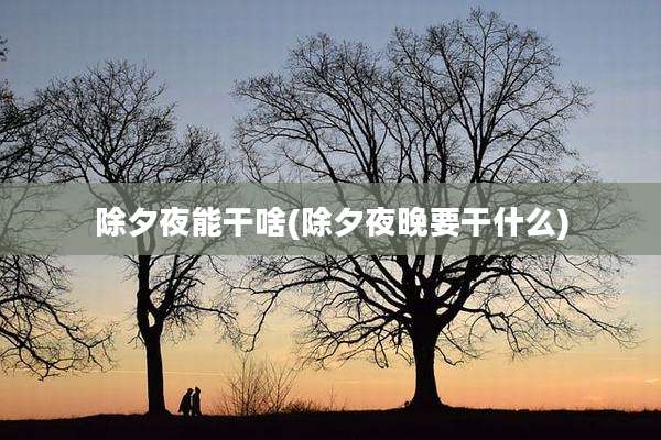 除夕夜能干啥(除夕夜晚要干什么)