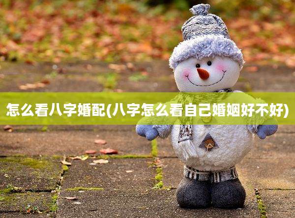 怎么看八字婚配(八字怎么看自己婚姻好不好)