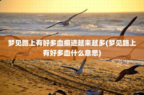 梦见路上有好多血痕迹越来越多(梦见路上有好多血什么意思)