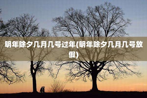 明年除夕几月几号过年(明年除夕几月几号放假)