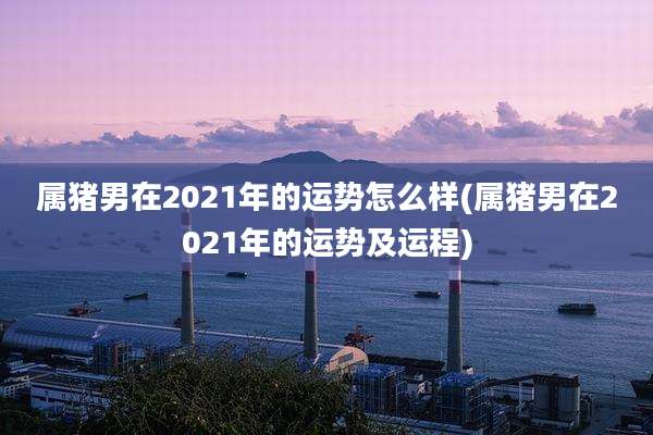 属猪男在2021年的运势怎么样(属猪男在2021年的运势及运程)