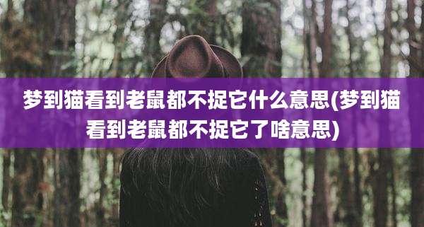 梦到猫看到老鼠都不捉它什么意思(梦到猫看到老鼠都不捉它了啥意思)