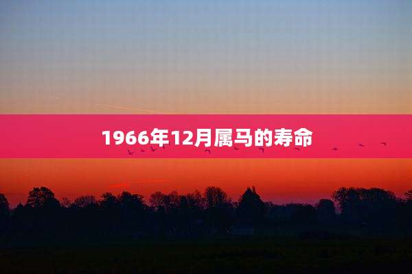 1966年12月属马的寿命