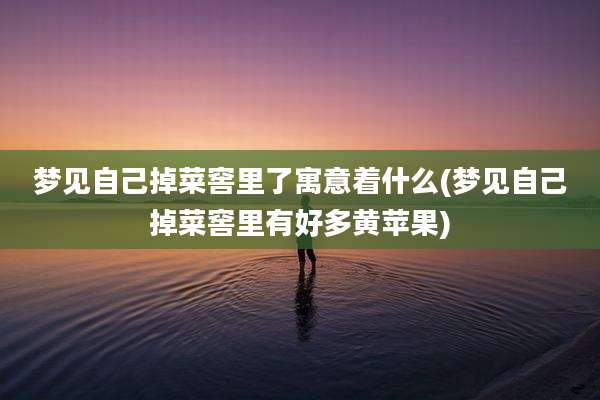 梦见自己掉菜窖里了寓意着什么(梦见自己掉菜窖里有好多黄苹果)