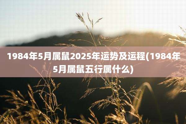 1984年5月属鼠2025年运势及运程(1984年5月属鼠五行属什么)