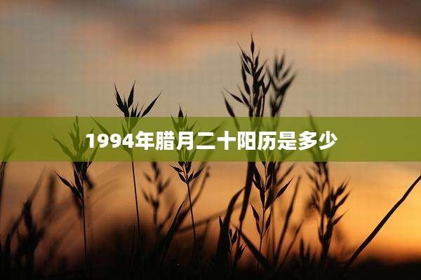1994年腊月二十阳历是多少