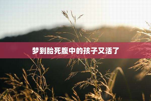 梦到胎死腹中的孩子又活了
