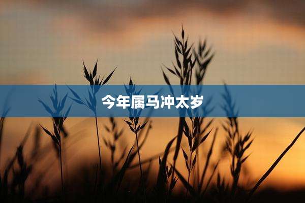 今年属马冲太岁