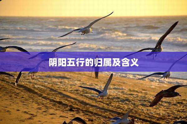 阴阳五行的归属及含义