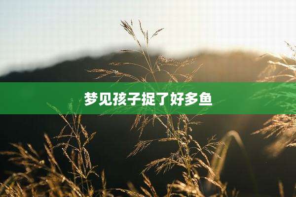 梦见孩子捉了好多鱼