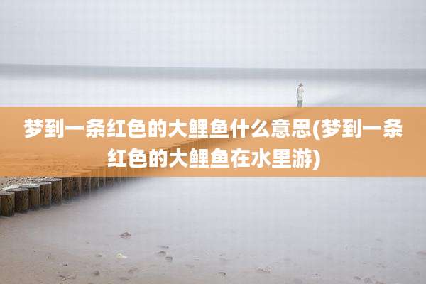 梦到一条红色的大鲤鱼什么意思(梦到一条红色的大鲤鱼在水里游)