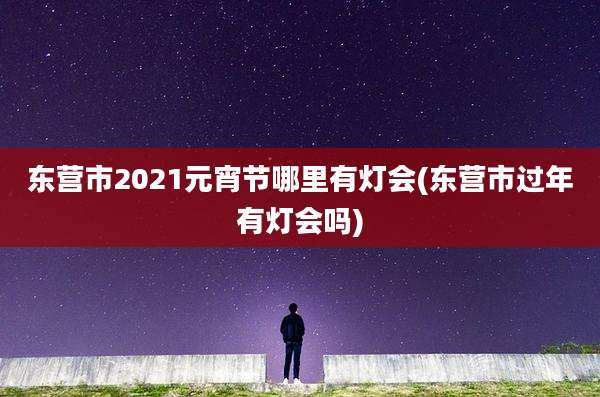 东营市2021元宵节哪里有灯会(东营市过年有灯会吗)
