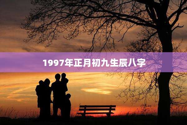 1997年正月初九生辰八字