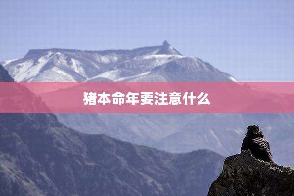 猪本命年要注意什么