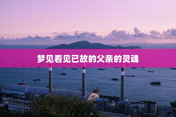 梦见看见已故的父亲的灵魂
