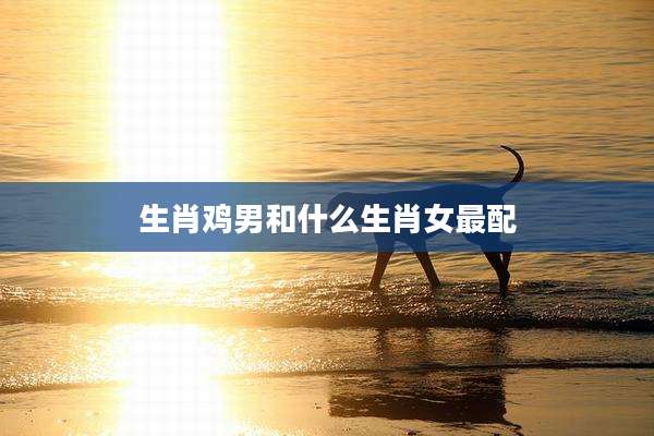 生肖鸡男和什么生肖女最配