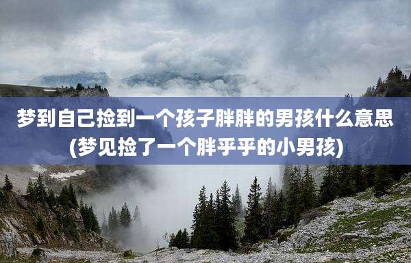 梦到自己捡到一个孩子胖胖的男孩什么意思(梦见捡了一个胖乎乎的小男孩)