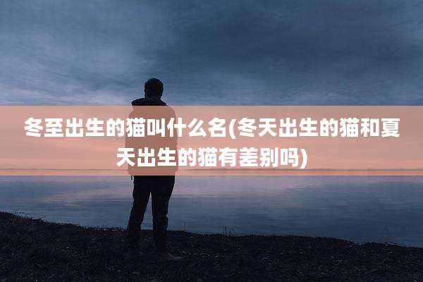 冬至出生的猫叫什么名(冬天出生的猫和夏天出生的猫有差别吗)