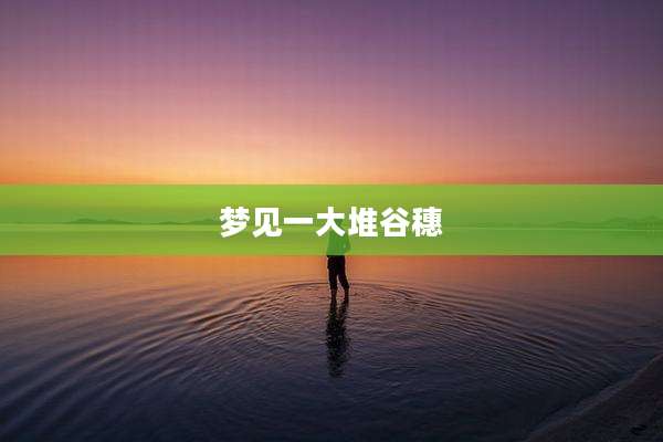 梦见一大堆谷穗