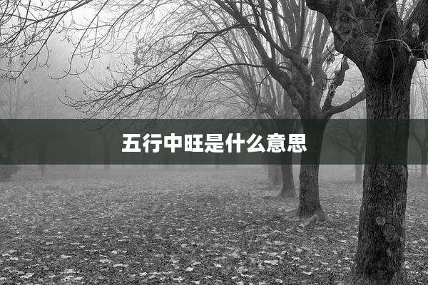 五行中旺是什么意思