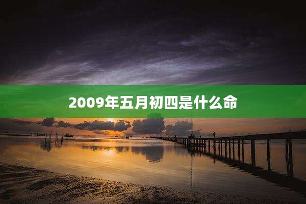 2009年五月初四是什么命