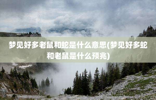 梦见好多老鼠和蛇是什么意思(梦见好多蛇和老鼠是什么预兆)