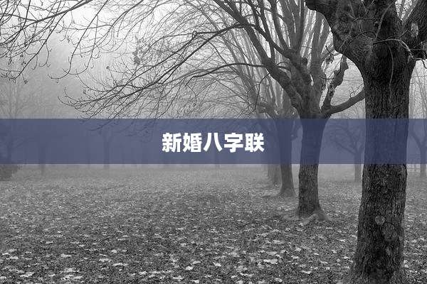 新婚八字联