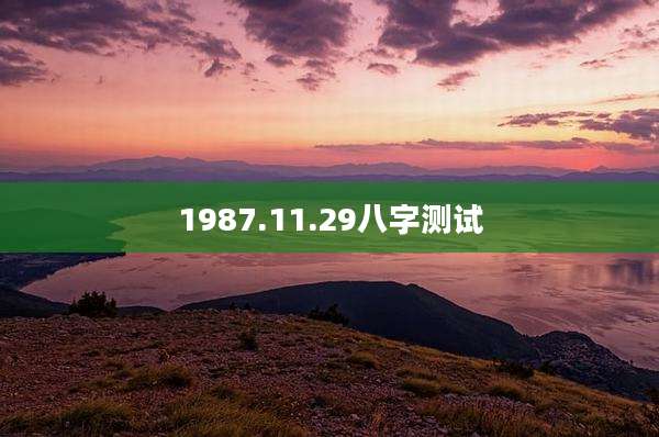 1987.11.29八字测试