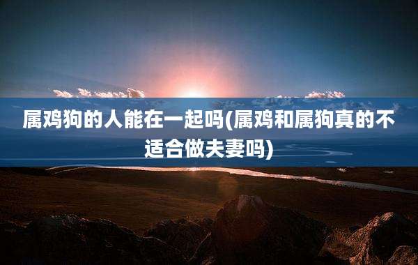 属鸡狗的人能在一起吗(属鸡和属狗真的不适合做夫妻吗)