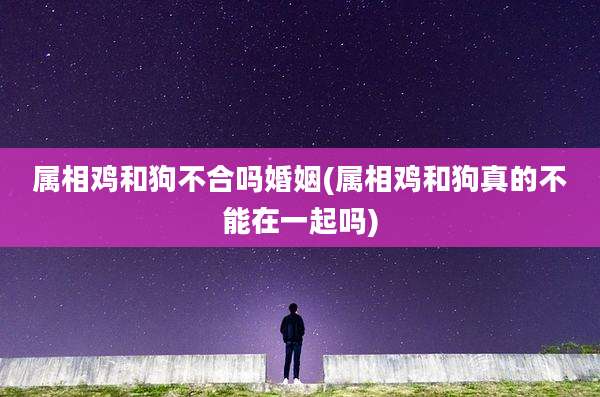 属相鸡和狗不合吗婚姻(属相鸡和狗真的不能在一起吗)