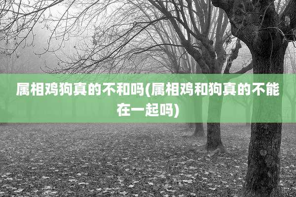 属相鸡狗真的不和吗(属相鸡和狗真的不能在一起吗)