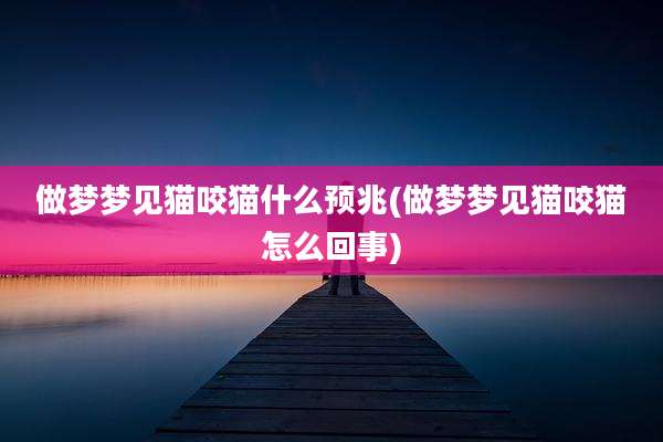 做梦梦见猫咬猫什么预兆(做梦梦见猫咬猫怎么回事)
