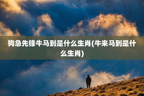 狗急先锋牛马到是什么生肖(牛来马到是什么生肖)